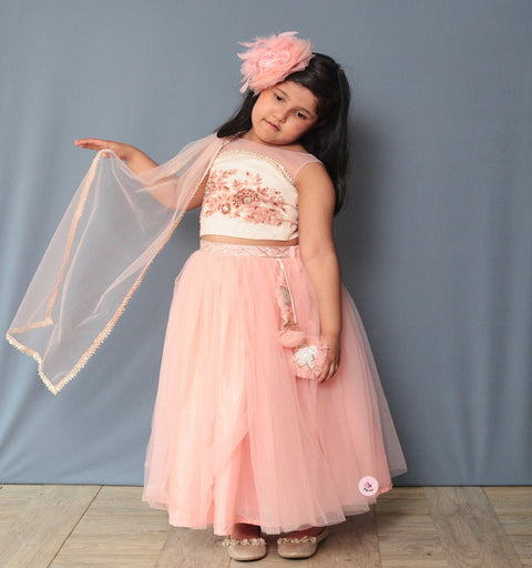 Pre-Order: Peach Ghagra Choli Embellished with Hand Crafted Embroidered