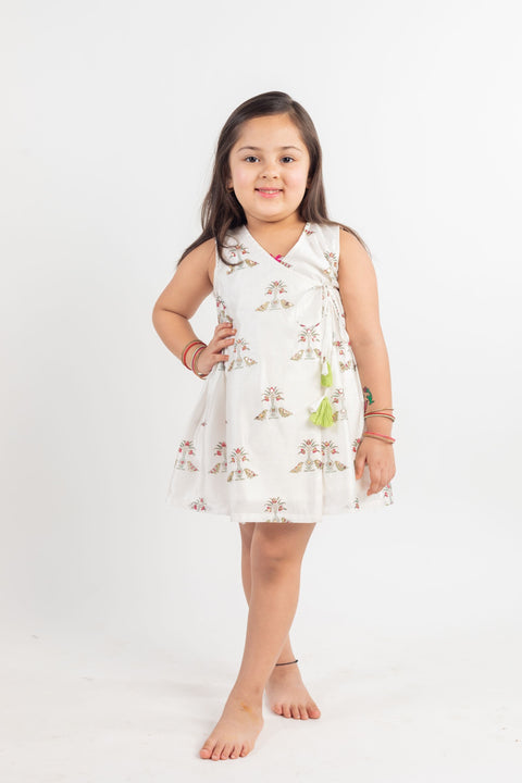 Pre-Order: Angrakha Dress