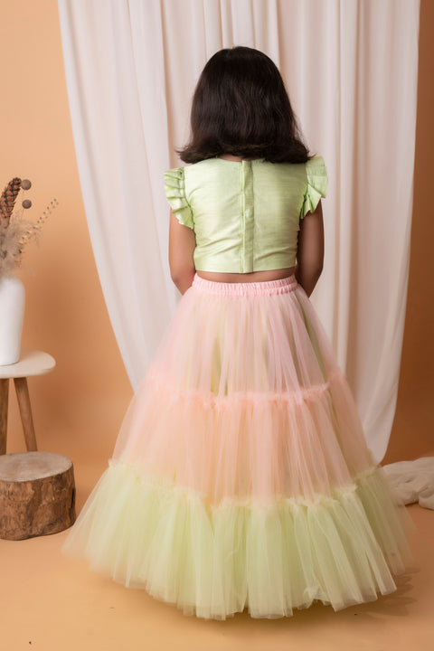 Pre-Order: Green and Peach Mirror Floral Embroidered Ghaghra Set