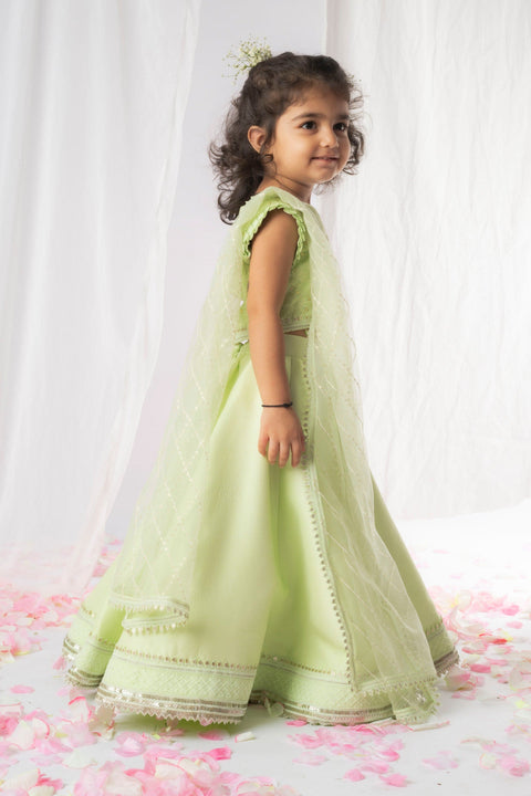 Pre-Order: Green Chikankari Lehenga Set