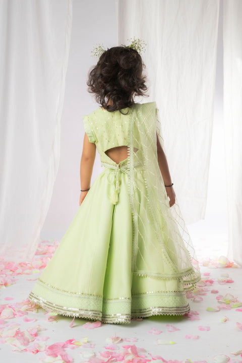 Pre-Order: Green Chikankari Lehenga Set
