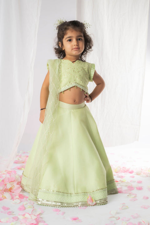 Pre-Order: Green Chikankari Lehenga Set
