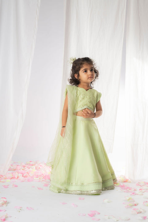 Pre-Order: Green Chikankari Lehenga Set