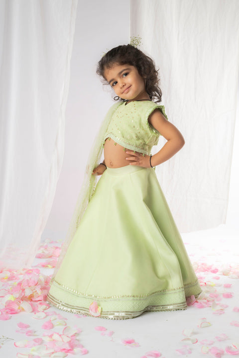 Pre-Order: Green Chikankari Lehenga Set