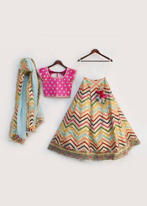 Pre-Order: Hot Pink Choli with Embroidery Lehenga and Organza Dupatta