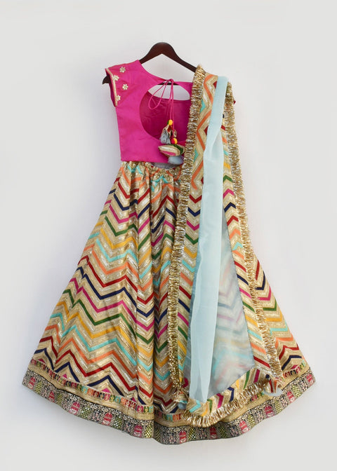 Pre-Order: Hot Pink Choli with Embroidery Lehenga and Organza Dupatta