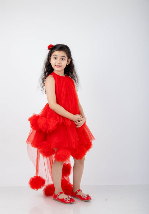 Pre-Order:  Victorian Style Dress with net flower detialing