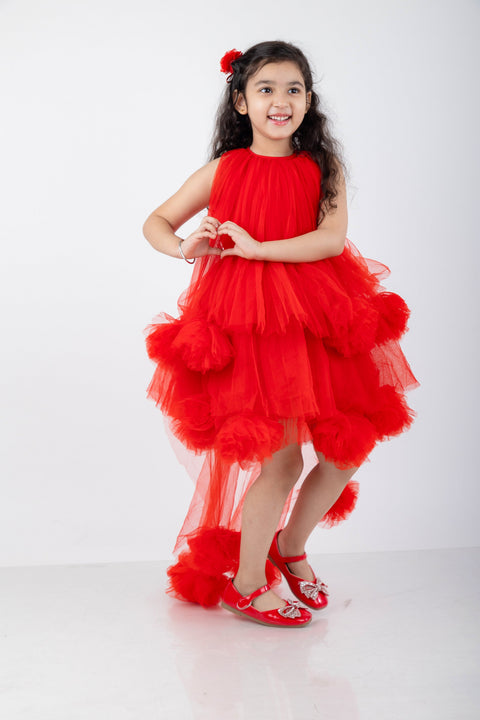 Pre-Order:  Victorian Style Dress with net flower detialing