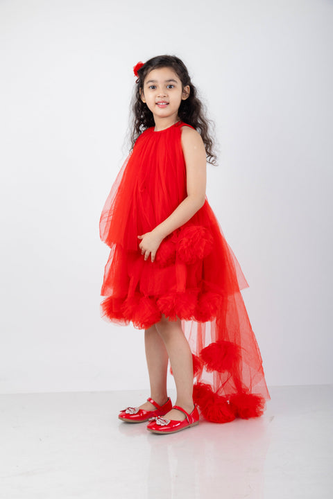 Pre-Order:  Victorian Style Dress with net flower detialing
