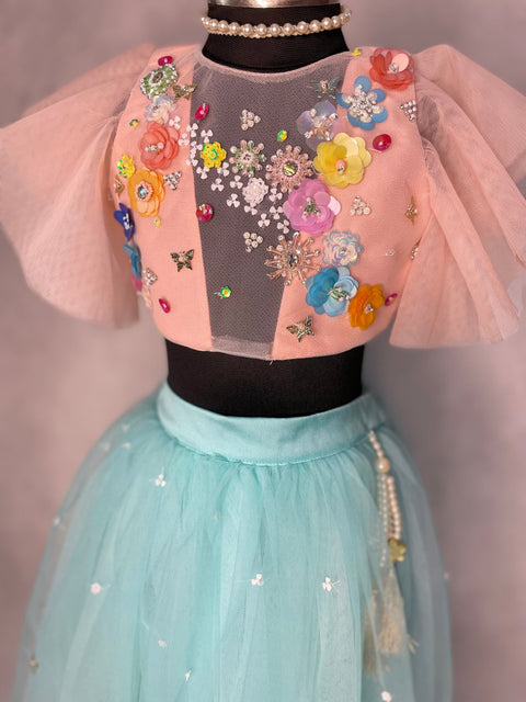 Pre-Order: Charm Choli and lehenga set