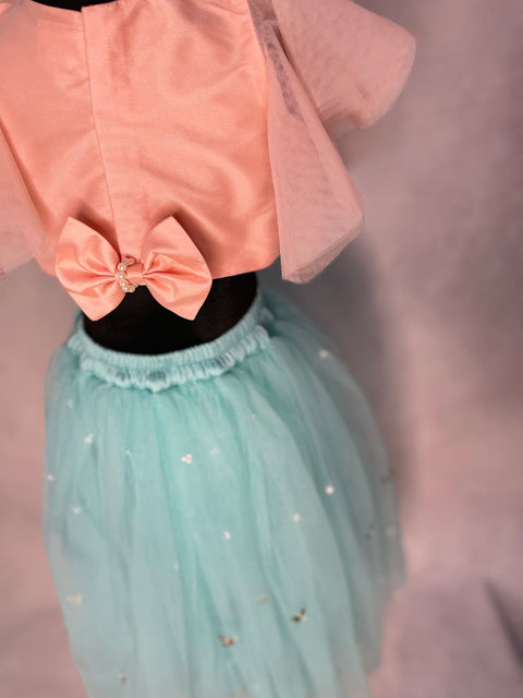 Pre-Order: Charm Choli and lehenga set