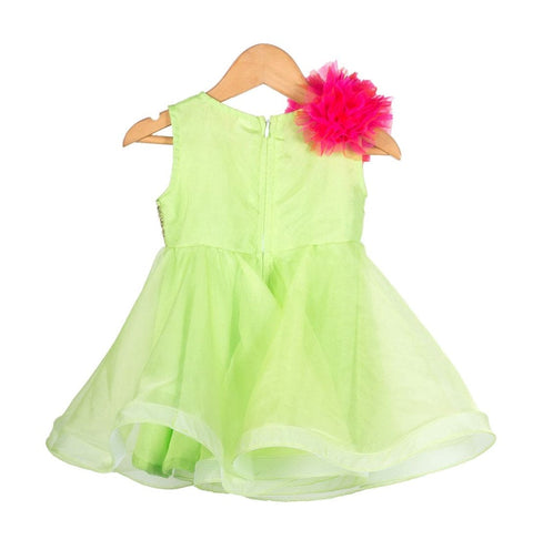 Pre-Order: Green Organza