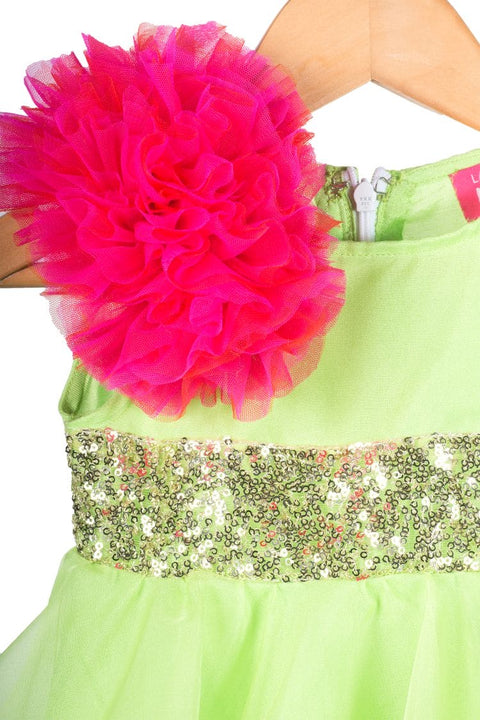 Pre-Order: Green Organza