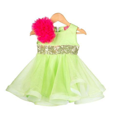 Pre-Order: Green Organza