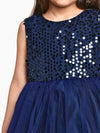 Navy Sequence Embelished Net Partywear Dress