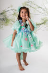 Pre-Order: Sea Green Flower Embroidered Dress
