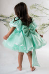 Pre-Order: Sea Green Flower Embroidered Dress