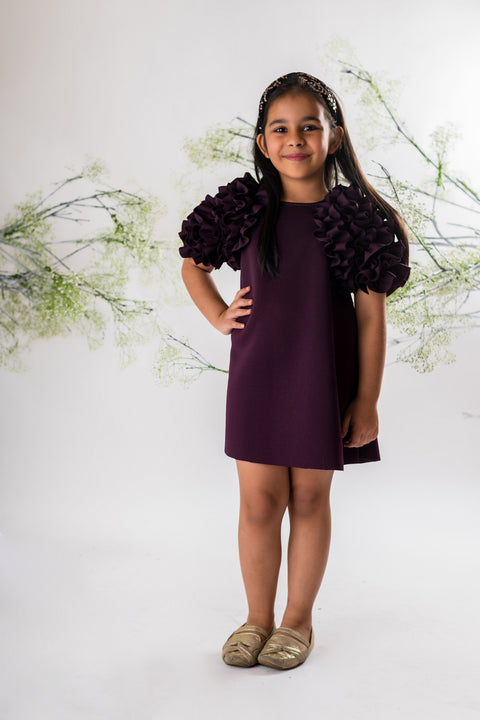 Pre-Order: Wine Ruffled Sleeve Dress