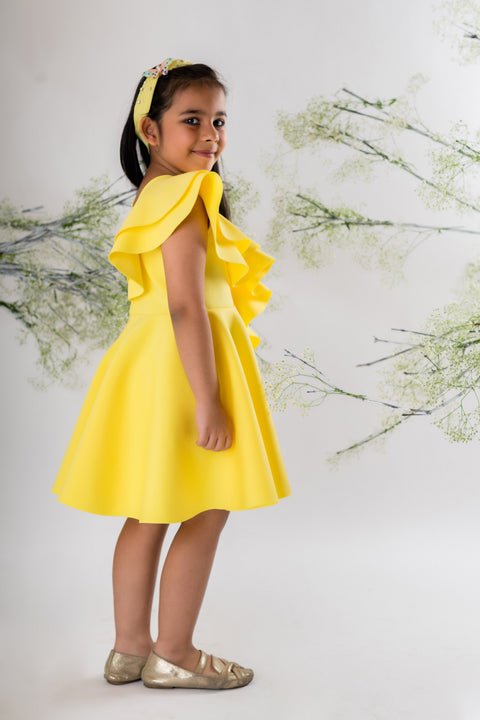 Pre-Order: Yellow Butterfly Embroidered Dress