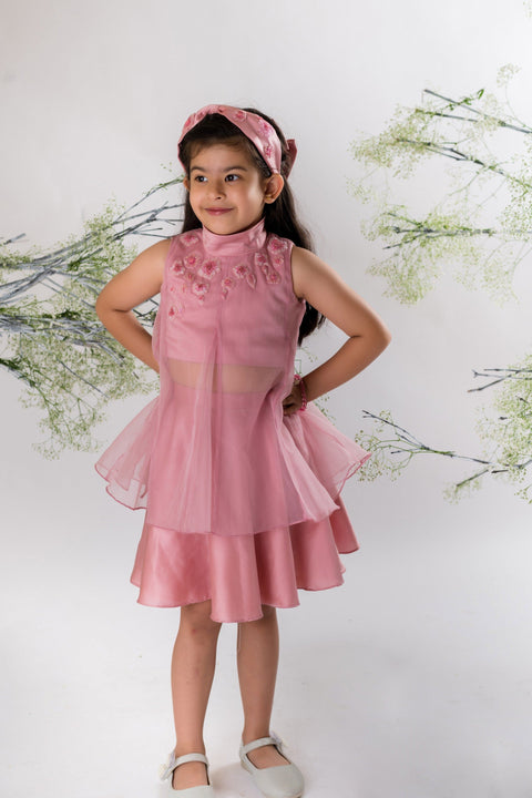 Pre-Order: Blush Pink Embroidered Top With Skirt