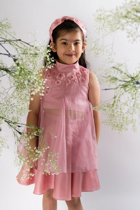 Pre-Order: Blush Pink Embroidered Top With Skirt