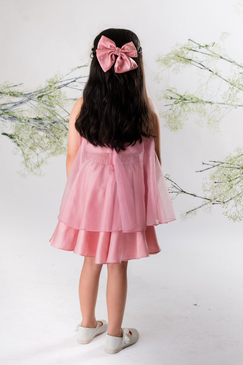 Pre-Order: Blush Pink Embroidered Top With Skirt