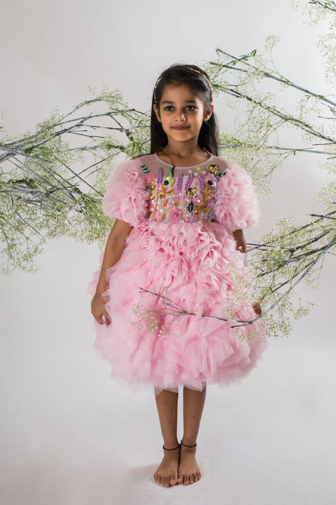 Pre-Order: Embroidered Ruffle Dress