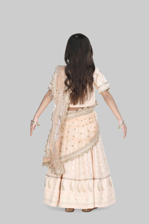 Pre-Order: Peach Lucknowi Embroidery Lehenga Choli with Dupatta