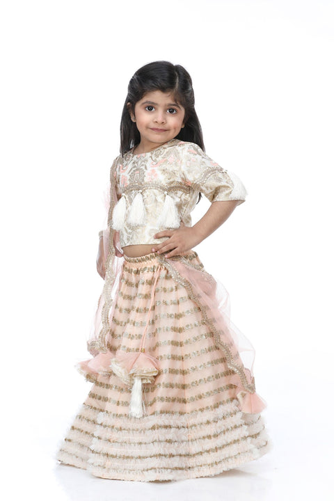 Pre-Order: Brocade Embroidered Choli with Lehenga and attached Dupatta