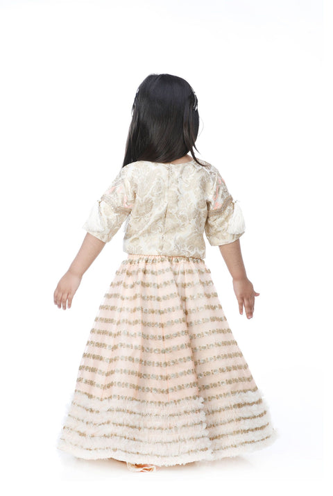 Pre-Order: Brocade Embroidered Choli with Lehenga and attached Dupatta