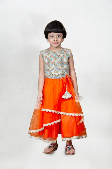 Pre-Order: Printed And Embroidered Stylish Blouse With 2 Fabric Back With Stylish Layered Ghagara