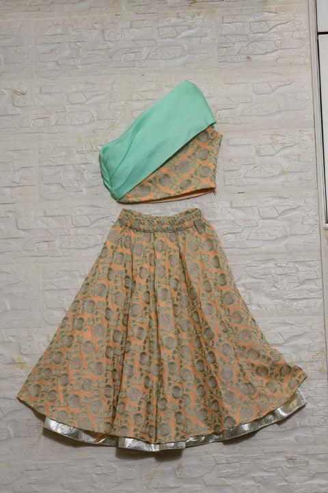 Pre-Order: Peach and Aqua Green Heavy Embroidered Stylish Top Ghagra Set