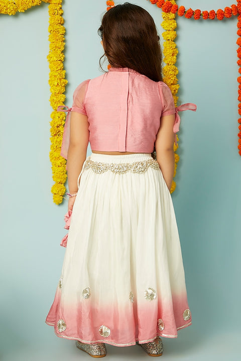Pre-Order: Pink Shaded Ghagra with Embroidered Blouse Set