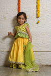 Pre-Order: Yellow and Green Heavy Embroidered Blouse and Ghagra Set