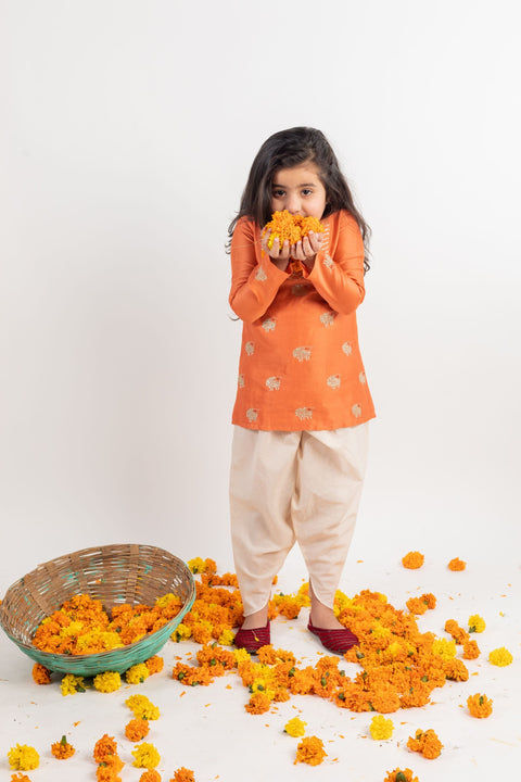 Pre-Order: Rust Yoke Embroidered Kurta-Dhoti Set