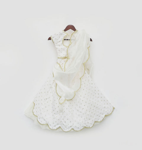 Pre Order:  Off White Organza Lehenga Choli and Dupatta