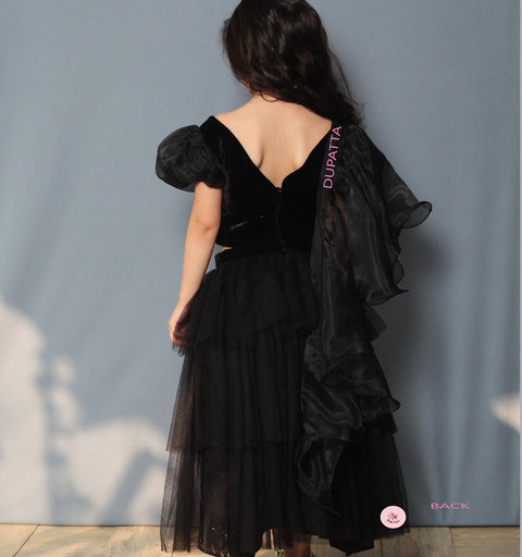 Pre-Order: Black Stylish Ghagra Choli with Gold Embroidery