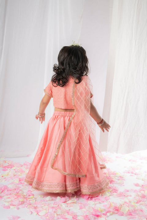 Pre-Order: Peach Chikankari Lehenga Set