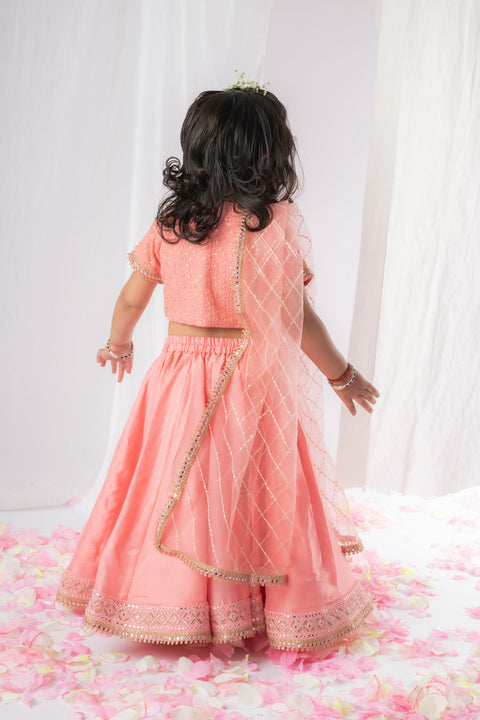 Pre-Order: Peach Chikankari Ghaghra Set