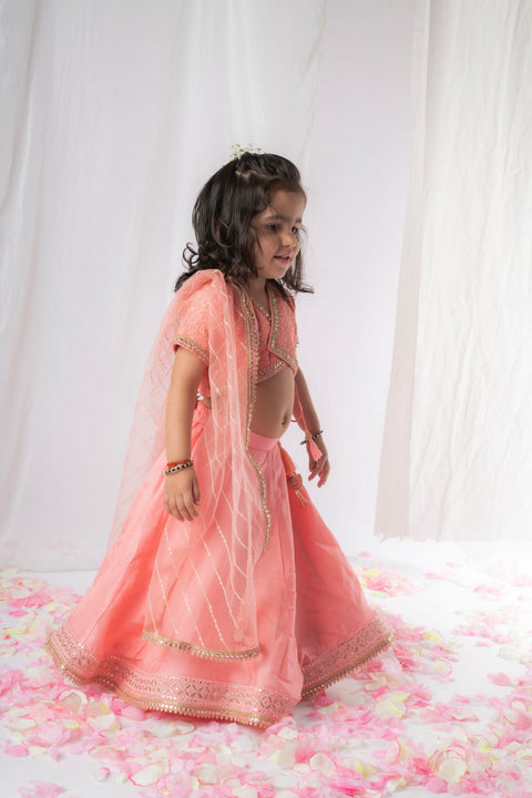 Pre-Order: Peach Chikankari Lehenga Set