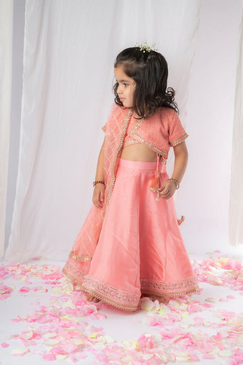 Pre-Order: Peach Chikankari Lehenga Set