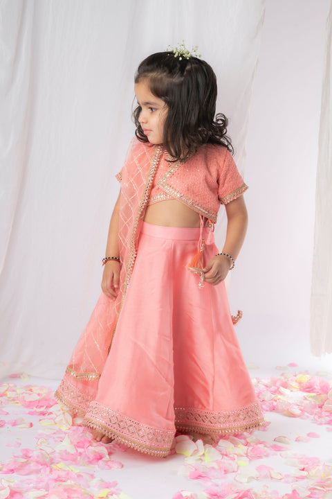 Pre-Order: Peach Chikankari Ghaghra Set