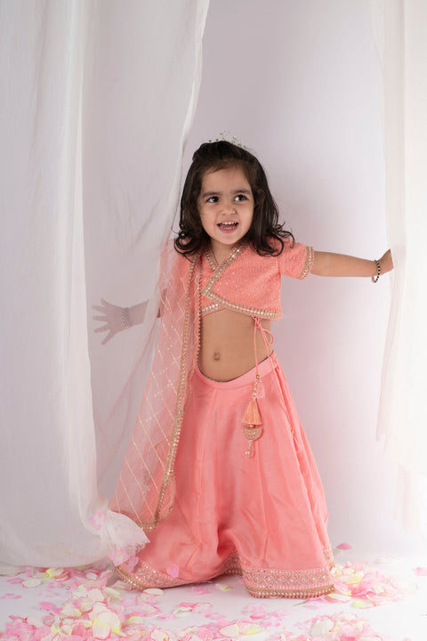 Pre-Order: Peach Chikankari Ghaghra Set