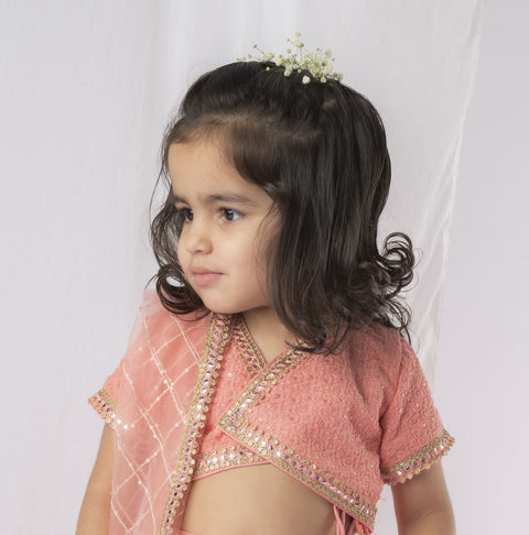 Pre-Order: Peach Chikankari Ghaghra Set