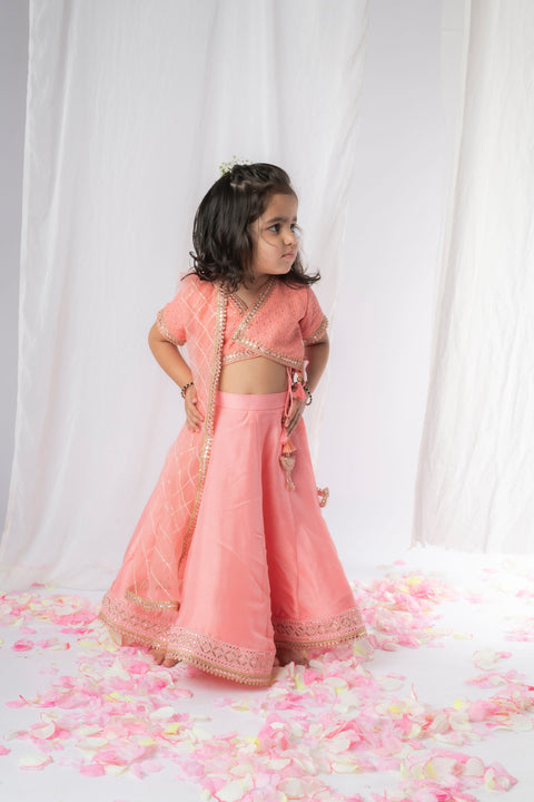 Pre-Order: Peach Chikankari Ghaghra Set