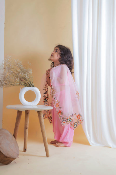 Pre-Order: Pink Cape Top with Pant