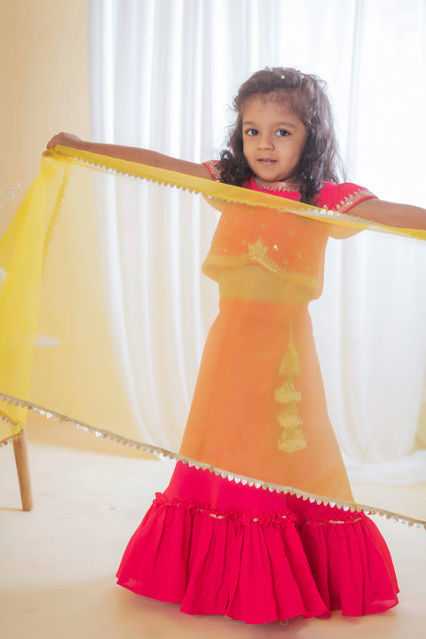 Pre-Order: Pink Butta Embroidered Ghagra Set