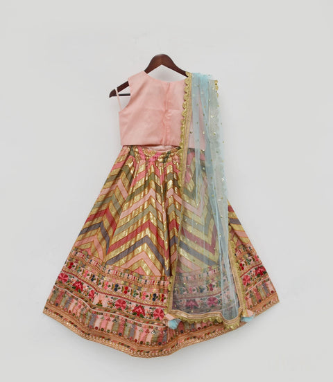 Pre-Order:  Peach Choli and Embroidery Lehenga Dupatta