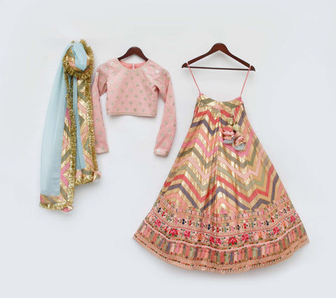 Pre-Order: Peach Flower Boti choli with Embroidery Lehenga Dupatta