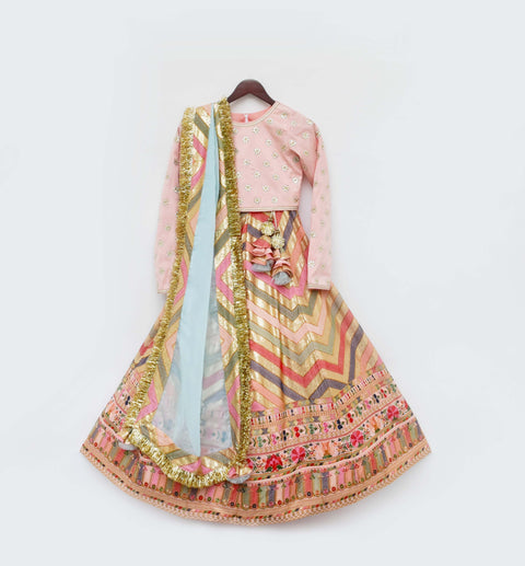 Pre-Order: Peach Flower Boti choli with Embroidery Lehenga Dupatta